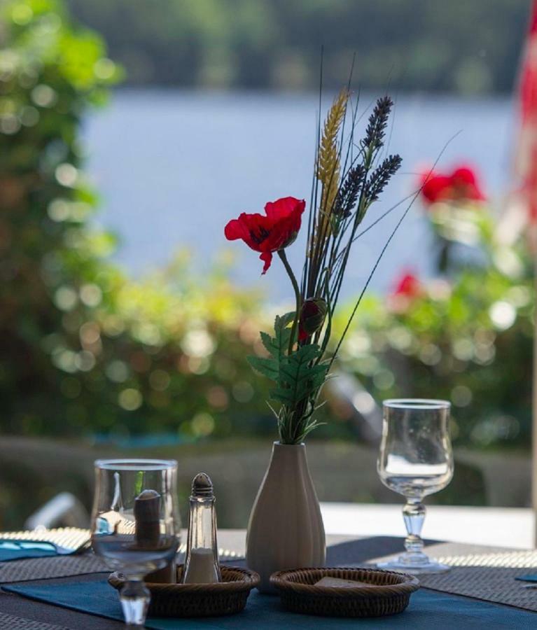 Logis Hotel Du Lac Neuvic  Екстер'єр фото